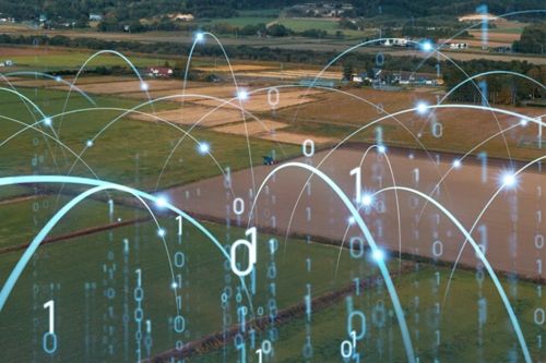 Agriculture fields with a digital representation of a binary network across them