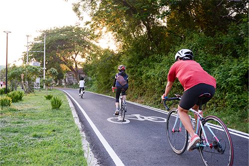 cycling route with green surroundings, three people are on their bikes